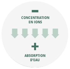 Concentration en ions